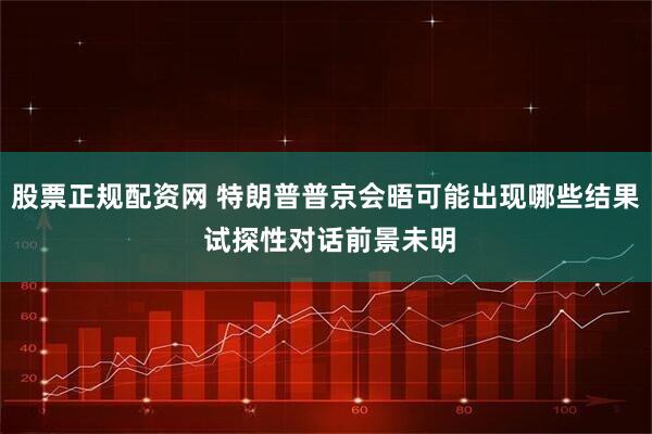 股票正规配资网 特朗普普京会晤可能出现哪些结果 试探性对话前景未明