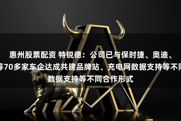 惠州股票配资 特锐德：公司已与保时捷、奥迪、上汽通用等70多家车企达成共建品牌站、充电网数据支持等不同合作形式
