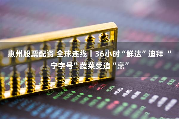 惠州股票配资 全球连线丨36小时“鲜达”迪拜 “宁字号”蔬菜受追“烹”