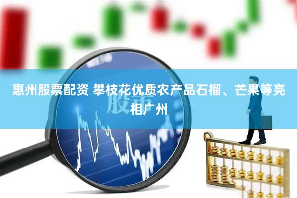 惠州股票配资 攀枝花优质农产品石榴、芒果等亮相广州
