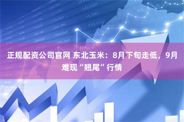 正规配资公司官网 东北玉米：8月下旬走低，9月难现“翘尾”行情
