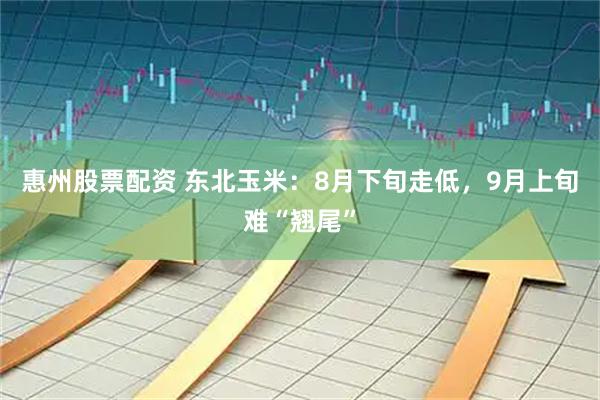 惠州股票配资 东北玉米：8月下旬走低，9月上旬难“翘尾”