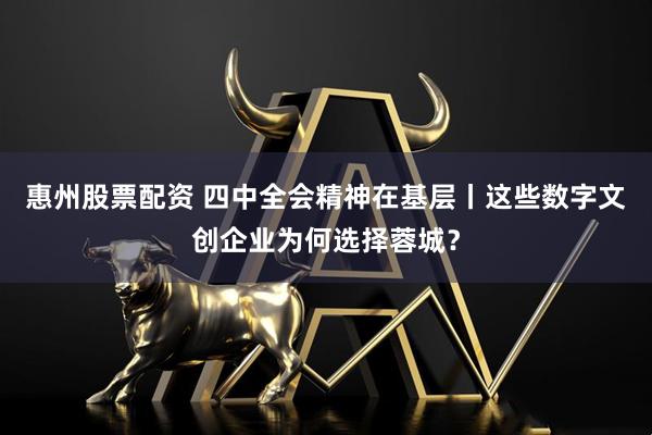 惠州股票配资 四中全会精神在基层丨这些数字文创企业为何选择蓉城？