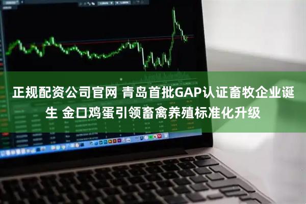 正规配资公司官网 青岛首批GAP认证畜牧企业诞生 金口鸡蛋引领畜禽养殖标准化升级
