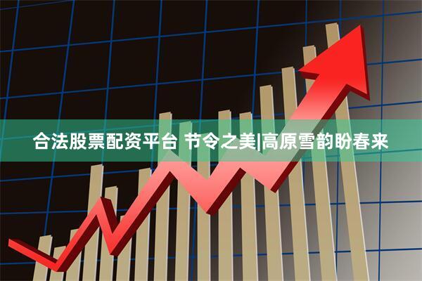 合法股票配资平台 节令之美|高原雪韵盼春来