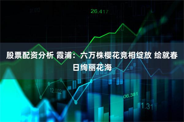 股票配资分析 霞浦：六万株樱花竞相绽放 绘就春日绚丽花海
