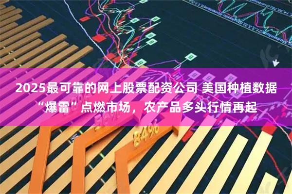 2025最可靠的网上股票配资公司 美国种植数据“爆雷”点燃市场，农产品多头行情再起